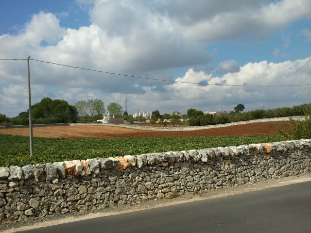 2012-09-20 10.51.38.jpg